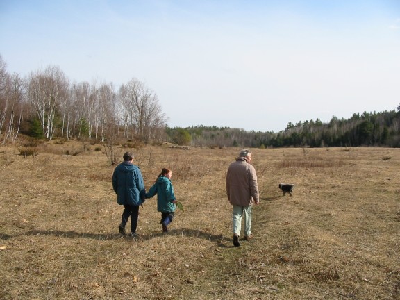 576x432 pixels (74K)